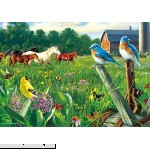 Buffalo Games Hautman Brothers Country Meadow 300 Large Piece Jigsaw Puzzle  B01LYK851L